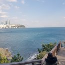 여행 일본어(특별) | 부산 여행 선물 추천 부산황금복돼지빵 택배후기