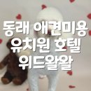 해이당 부산애견호텔 강아지유치원 반려견미용 목욕 교육 훈련 | 부산 애견미용 동래 강아지 위생미용 위드왈왈컴퍼니