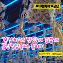 금산-47 | [축제]2024 금산 인삼축제 &#39;건강.맛.즐거움&#39;을 한자리에~! 주차 및 축제후기
