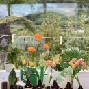 위즈코퍼레이션 이미지