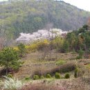 안산 와동체육관 이미지