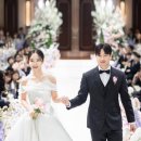 손수그라피