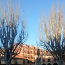 HOSTEL THE CAMINO 이미지