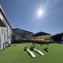 형제목장2 | 파주 룰루목장 : 목장체험 / 아이랑 주말 서울근교 가기좋은곳