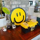 블루25 진성 이미지