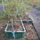 요한이네농장 이미지