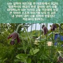 꽃말 - 유성구 죽동로280번길 16 | 꽃말