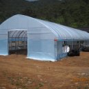 대길농장 이미지