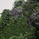 갈맷길 2-2 구간 이미지