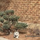 샤인게임장 | 2월 셋째주 이모저모 즐거운 설날 (송현아 나들이, 코드헌터 강남, 포러데이 팔당, 샤브20 감일점)