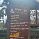 남원시청교룡공원숲속야영장