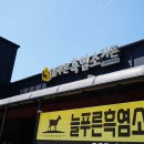 늘푸른 흑염소 가든 | [보성 맛집] 늘푸른 흑염소 가든 - 흑염소 코스 몸보신