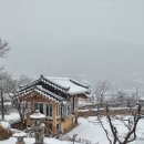 스테이 다연 이미지