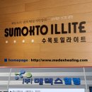 수목토일라이트힐링 이미지