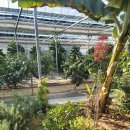 염소꿈농원 이미지