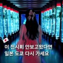 쿠마스토리 | 일본 도쿄 긴자 전시회 가볼만한곳 미츠코시 백화점 쿠마켄고 아트아쿠아리움
