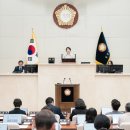 295 이미지