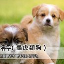 강아지 그리다 이미지