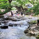 용오름농촌체험휴양마을 이미지