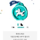 까까쟁이 이미지