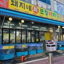 계산새마을금고 | 작전역 횟집 돼지네회포장마차 모둠회 먹은 내돈내산 후기