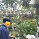 마곡도넛 | 마곡 서울식물원 주말 아기랑 유모차 방문 후기: 주차비, 입장료, 수유실 총정리
