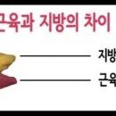 예움핏