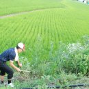 달림농장 이미지