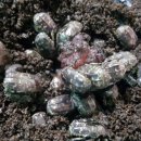 두아름농장 이미지