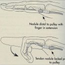 시민한의원 이미지