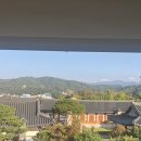 빈타이 남원점 | 남원 광한루 근처 카페 빈타이 남원점에서 즐긴 녹차라떼 후기