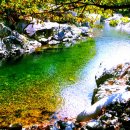 파라다이스펜션 이미지