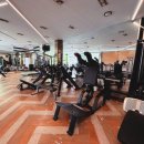 청춘휘트니스 | 청담역헬스장 청춘웨이트 X Acub휘트니스 청담 시작해보세요