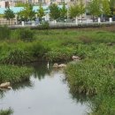 부원중학교 이미지