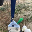 피치가 | [강아지 용품] 피치프라이빗 내돈내산 후기 | 그루미파우치부터 펫테리어까지