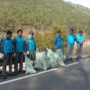 산양일주도로가로수 이미지