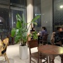 폭스비바 | [광주] 서구 치평동 비바로마 & 슬라이폭스 후기 (내돈내산)