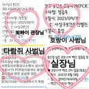 신주례태권도 체육관 이미지
