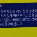쇼마헤어 네이버블로그