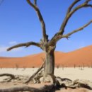 일상생활의 편리한 스마트폰&키오스크활용 이미지