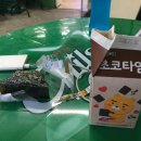 세븐일레븐(가평자라째즈점) 이미지