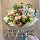 헬리오 플라워 바이수