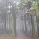 새서울한의원 이미지