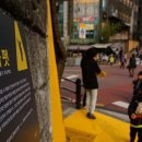 옐로카펫 이미지