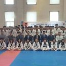 용인대박사태권도 이미지