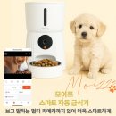 지디엠