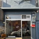 올리브 앤 오렌지 이미지