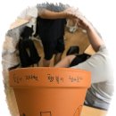제이라이프코칭 네이버블로그