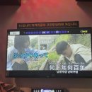 대구엔젤스코인노래연습장월성점 이미지