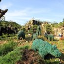 상대마을(향기마을) 이미지